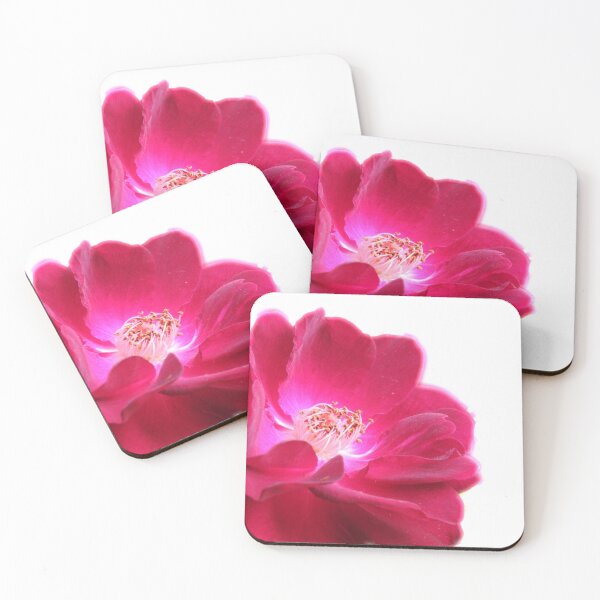 Item preview, pink flower designed and sold by laceyyyann34.