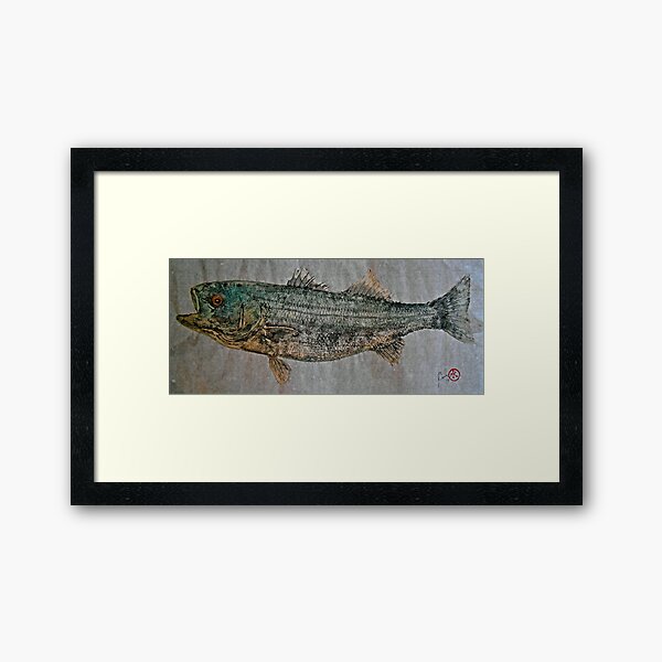 Gyotaku - Bar rayé - Rock Fish - Striper Impression encadrée