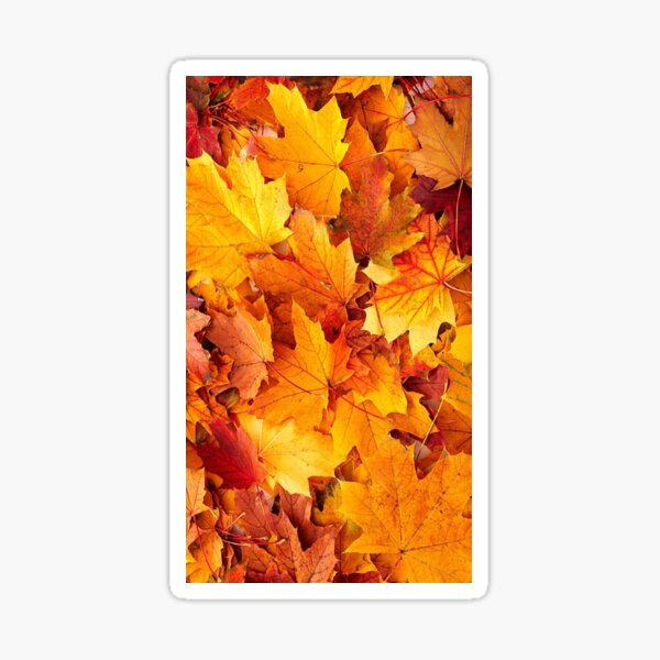 Autumn Fall Leaves Pattern Halloween Gift Sticker