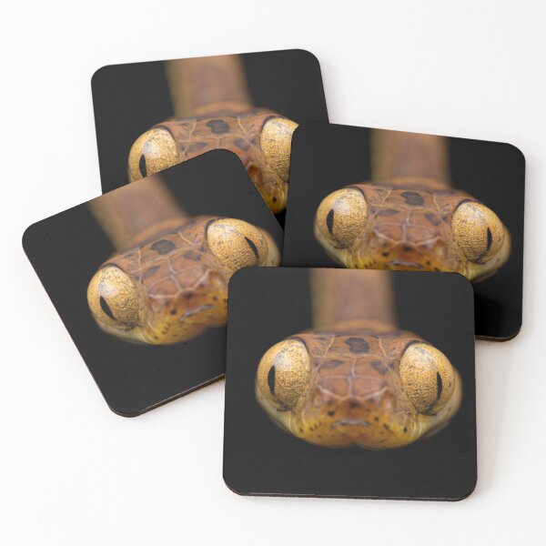 Item preview, Snake face designed and sold by vincentpremel.