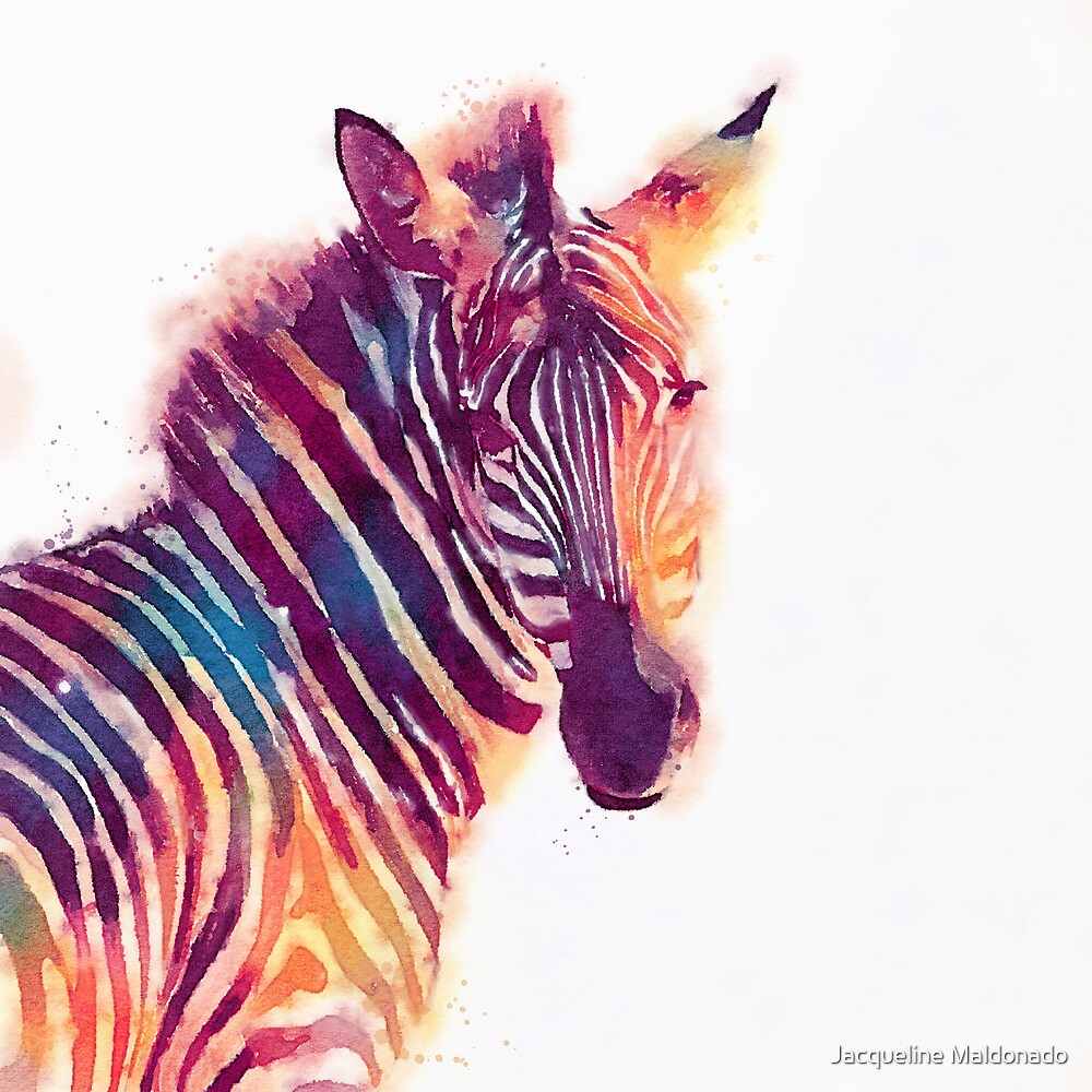 "The Aesthetic - Watercolor Zebra Illustration" by Jacqueline Maldonado