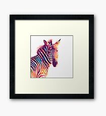 The Aesthetic - Watercolor Zebra Illustration Framed Print