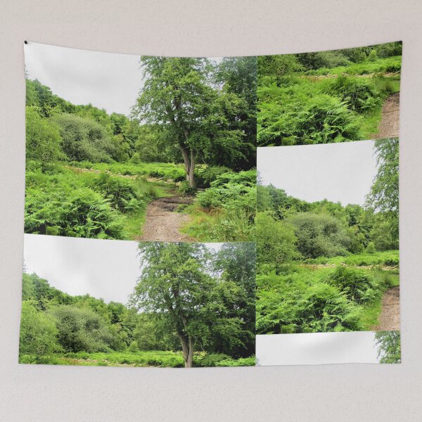Item preview, Cannock Chase Countryside designed and sold by realdorypanda.