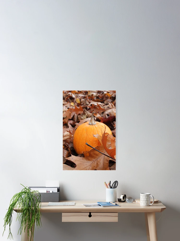 Thumbnail 2 of 3, Poster, Small Pumpkin designed and sold by SariePhotograph.