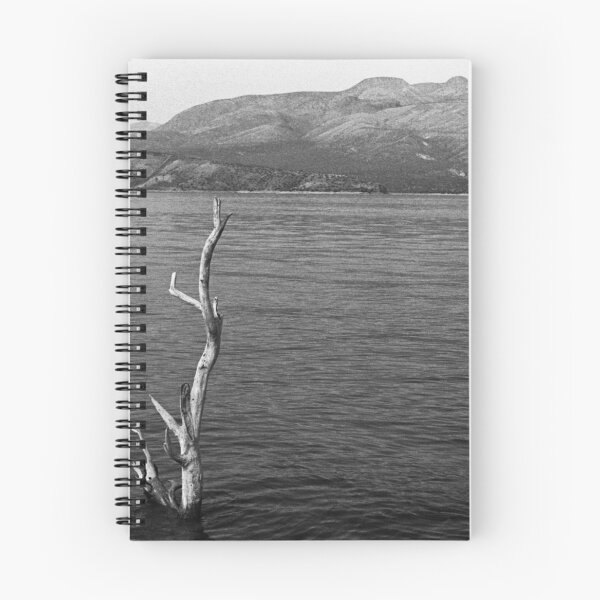 Item preview, Exposed Branches designed and sold by James2001.