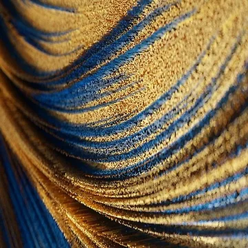 Artwork thumbnail, Golden Beige Sweep by lotusbud
