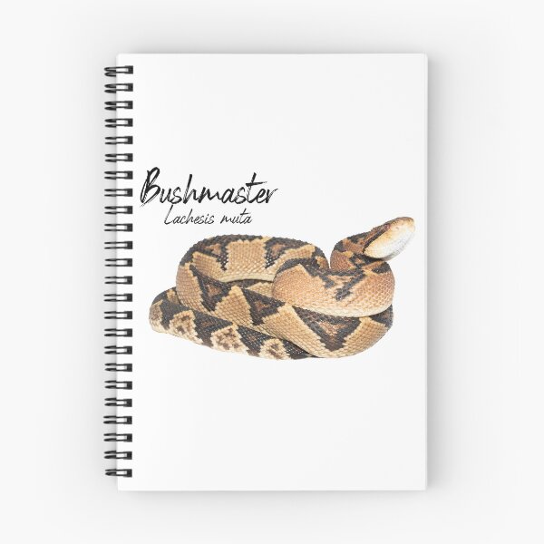 Item preview, Bushmaster (Lachesis muta) Guyana designed and sold by vincentpremel.
