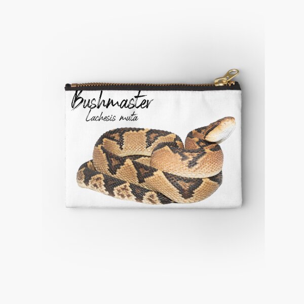 Item preview, Bushmaster (Lachesis muta) Guyana designed and sold by vincentpremel.