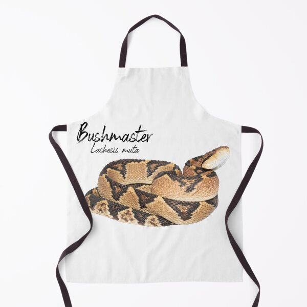 Item preview, Bushmaster (Lachesis muta) Guyana designed and sold by vincentpremel.