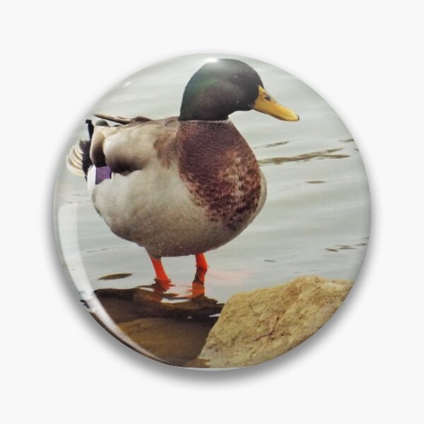 Item preview, Drake Mallard designed and sold by KwolfsCreations.