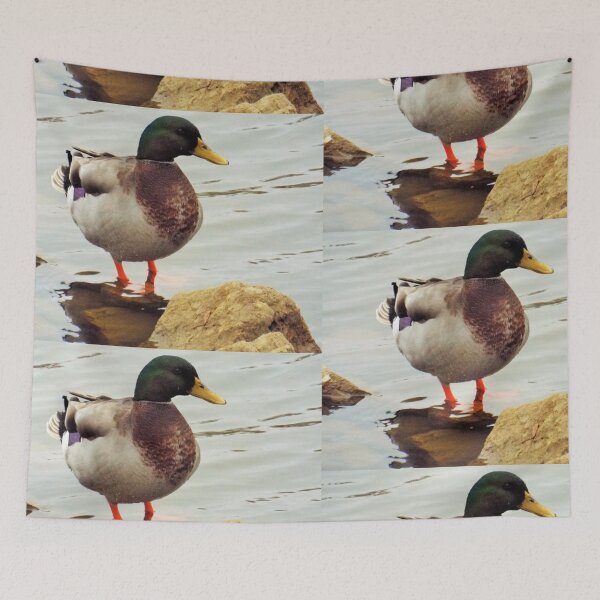 Item preview, Drake Mallard designed and sold by KwolfsCreations.