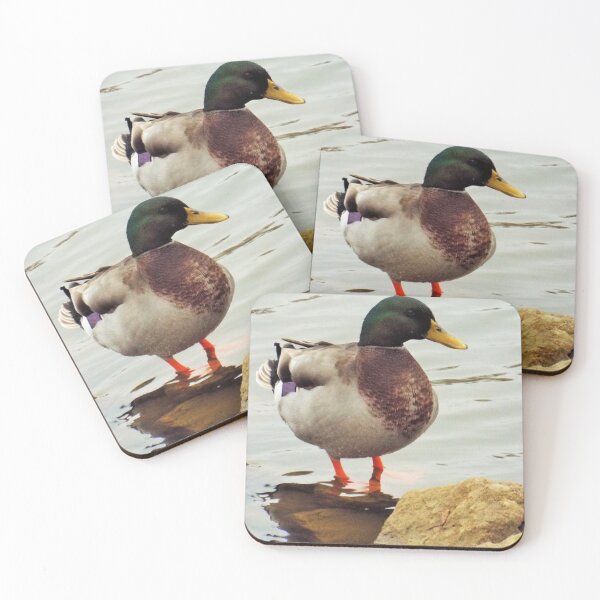 Item preview, Drake Mallard designed and sold by KwolfsCreations.