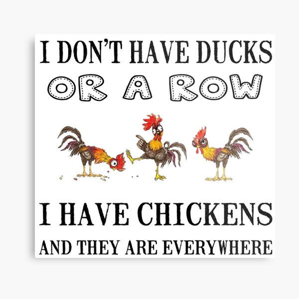 No Ducks In A Row - Chickens Everywhere! Metal Print