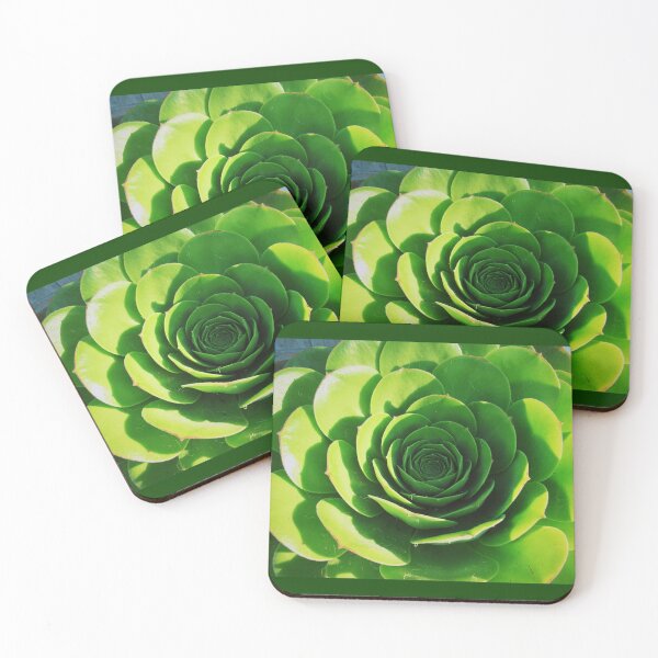 Item preview, Succulent designed and sold by aepphotographs.