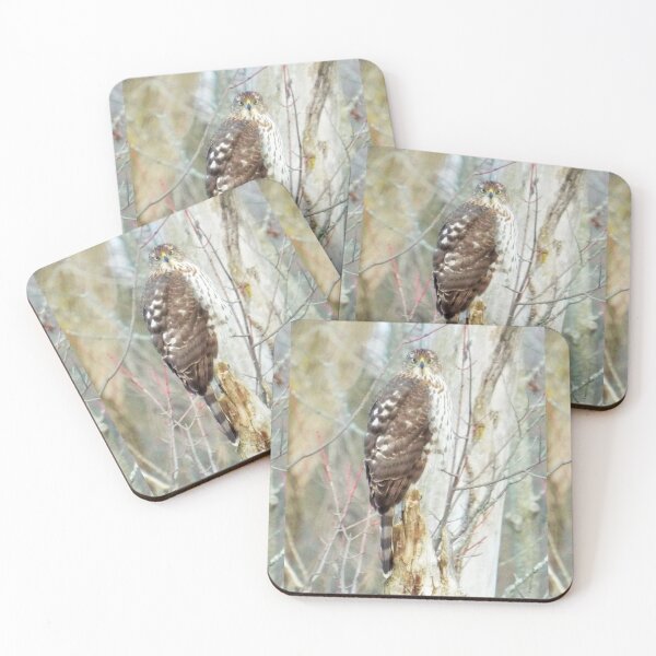 Item preview, Hawk designed and sold by KwolfsCreations.