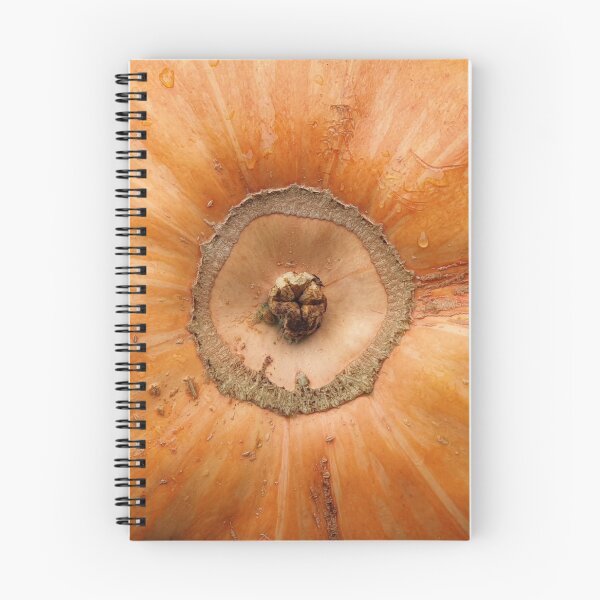 Item preview, Pumpkin Close Up designed and sold by Daniel Janda.