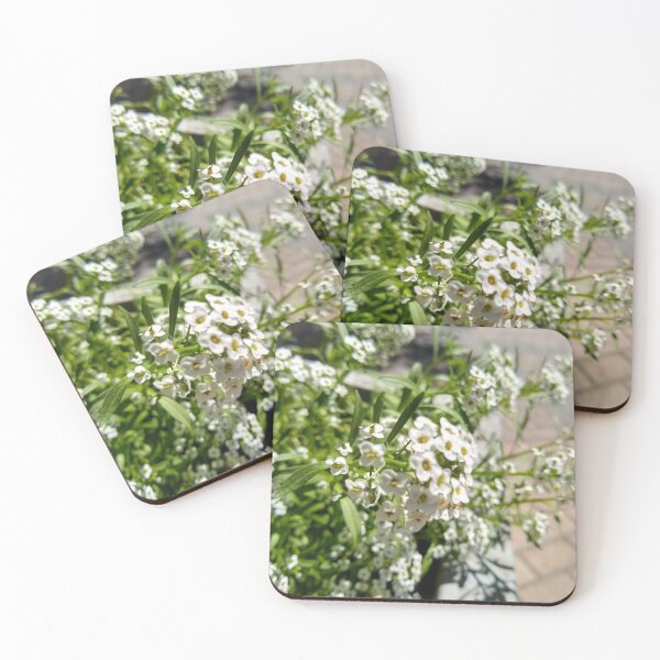 Item preview, Alyssum Close-Up designed and sold by AlyssaSakura.