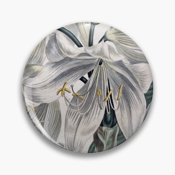 Item preview, Vintage Botanical Print "White Cape - Coast Lily" (1806) designed and sold by Douglas E. Welch Design and Photography.