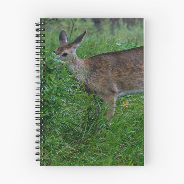 Item preview, Young deer designed and sold by CanadianWild418.