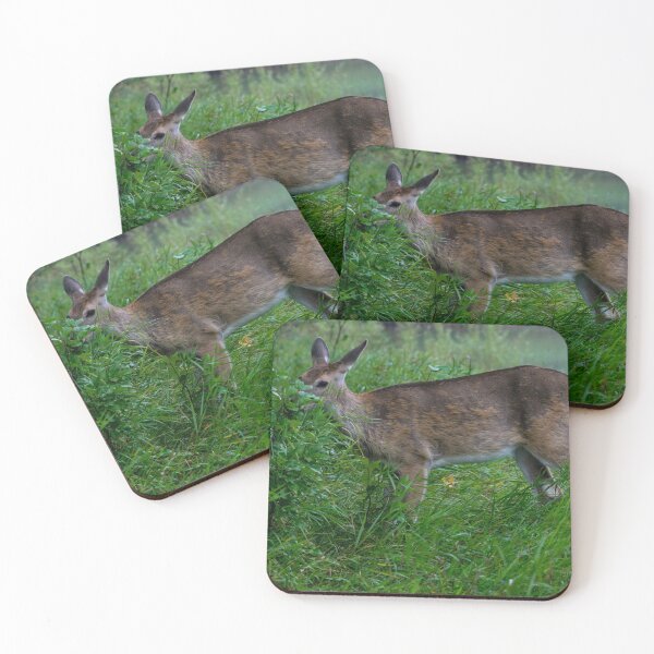 Item preview, Young deer designed and sold by CanadianWild418.