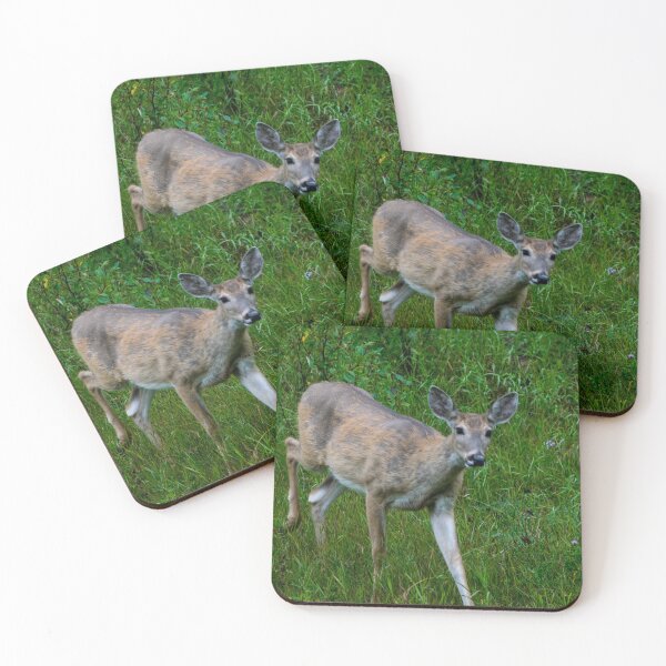Item preview, Young deer heading towards me. designed and sold by CanadianWild418.