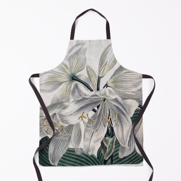 Item preview, Vintage Botanical Print "White Cape - Coast Lily" (1806) designed and sold by Douglas E. Welch Design and Photography.
