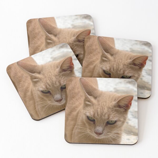 Item preview, Cats of Malta - stray ginger tabby cat  designed and sold by lena-maximova.