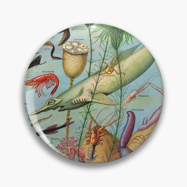 Item preview, Adolphe Millot - Oceanographie - Vintage french zoology illustration 1921 designed and sold by Gardenlibrary.