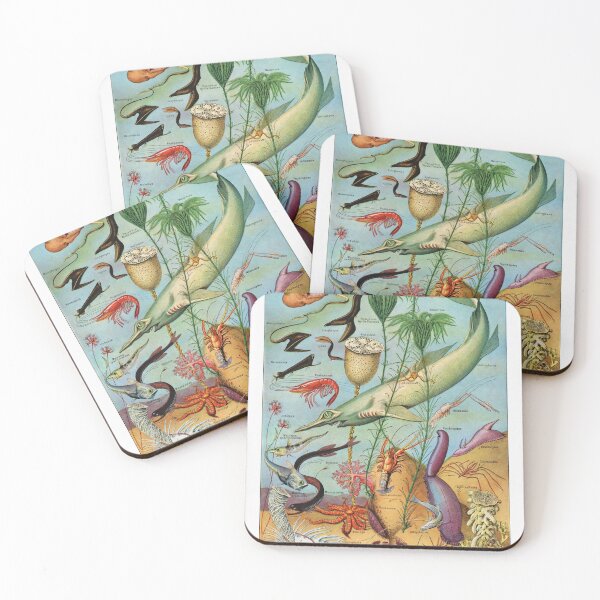 Item preview, Adolphe Millot - Oceanographie - Vintage french zoology illustration 1921 designed and sold by Gardenlibrary.