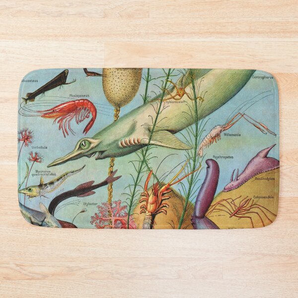 Item preview, Adolphe Millot - Oceanographie - Vintage french zoology illustration 1921 designed and sold by Gardenlibrary.