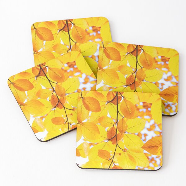 Item preview, Sunshine through yellow fall leaves designed and sold by hawa0508.