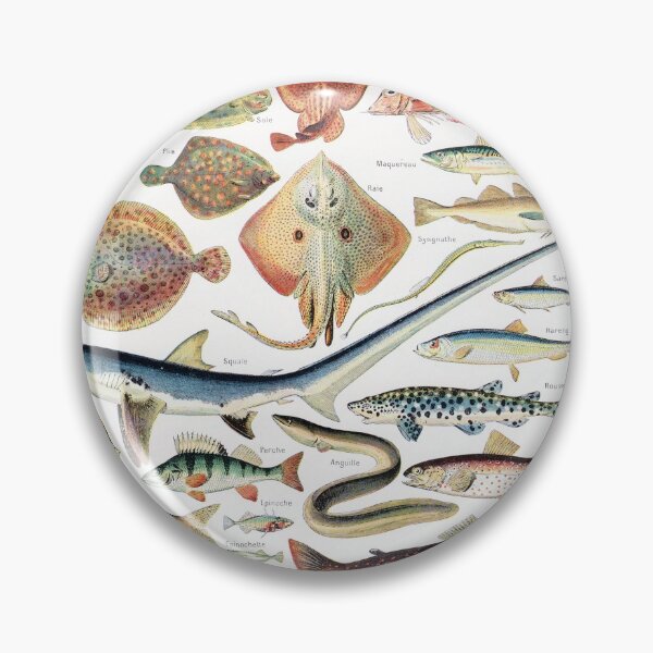 Item preview, Adolphe Millot - Poissons - Vintage french zoology illustration 1921 designed and sold by Gardenlibrary.