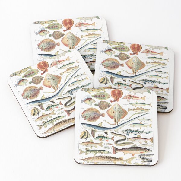 Item preview, Adolphe Millot - Poissons - Vintage french zoology illustration 1921 designed and sold by Gardenlibrary.