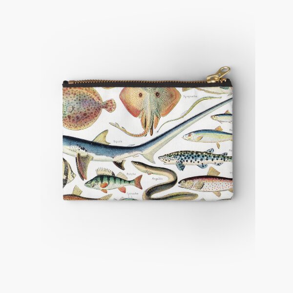 Item preview, Adolphe Millot - Poissons - Vintage french zoology illustration 1921 designed and sold by Gardenlibrary.