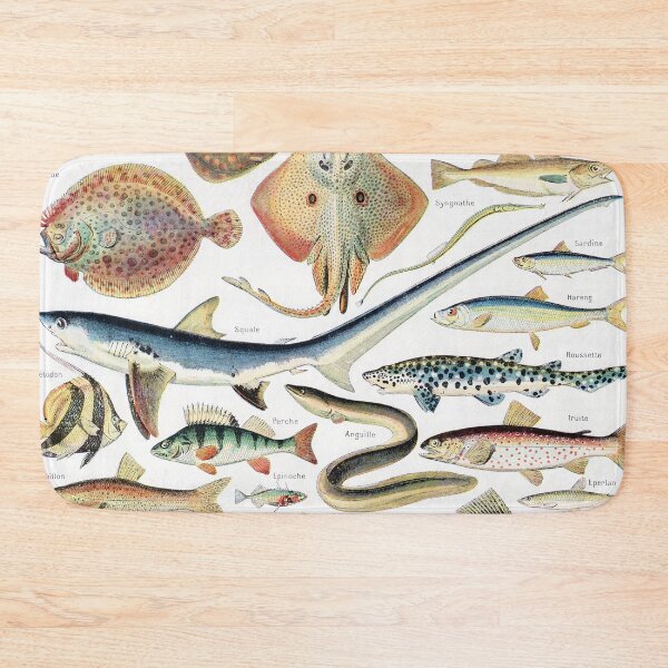 Item preview, Adolphe Millot - Poissons - Vintage french zoology illustration 1921 designed and sold by Gardenlibrary.