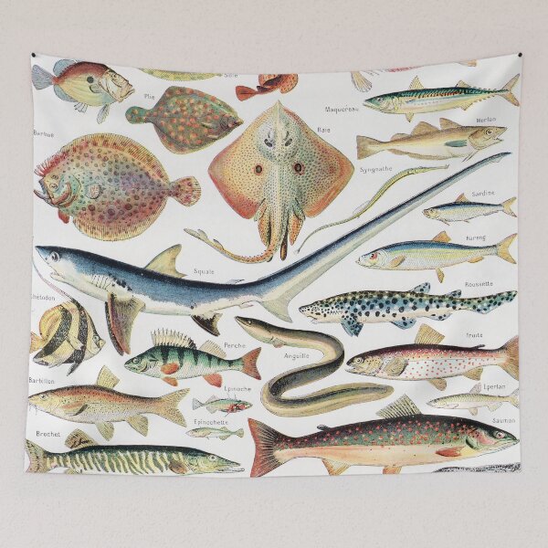 Item preview, Adolphe Millot - Poissons - Vintage french zoology illustration 1921 designed and sold by Gardenlibrary.