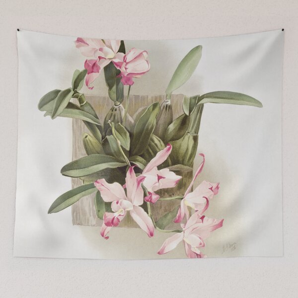 Item preview, Reichenbachia: Orchids Illustrated and Described designed and sold by EsotericBotanic.