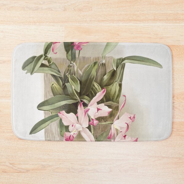 Item preview, Reichenbachia: Orchids Illustrated and Described designed and sold by EsotericBotanic.