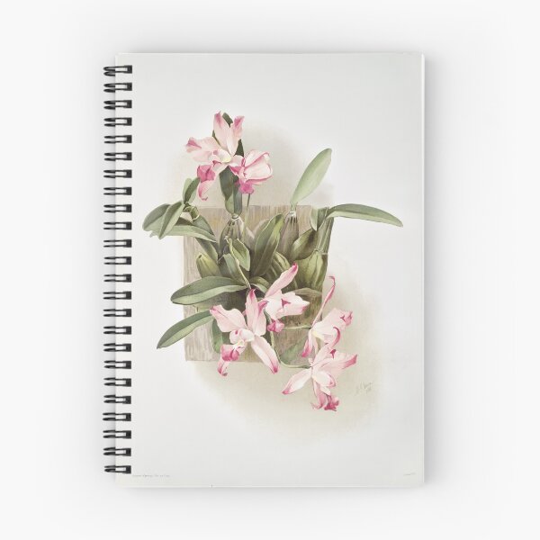 Item preview, Reichenbachia: Orchids Illustrated and Described designed and sold by EsotericBotanic.