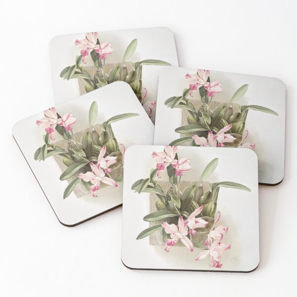 Item preview, Reichenbachia: Orchids Illustrated and Described designed and sold by EsotericBotanic.