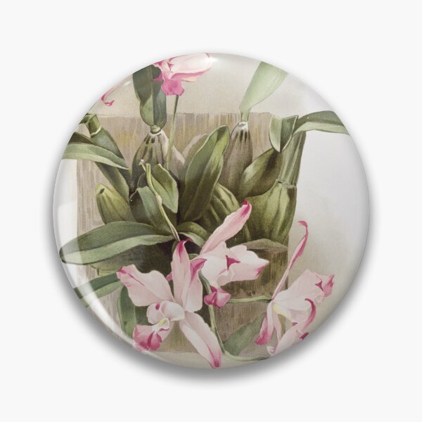 Item preview, Reichenbachia: Orchids Illustrated and Described designed and sold by EsotericBotanic.