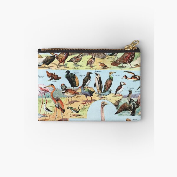 Item preview, Adolphe Millot - Oiseaux A - Vintage french zoology illustration 1921 designed and sold by Gardenlibrary.