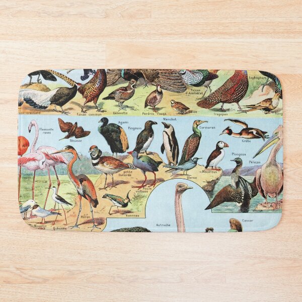 Item preview, Adolphe Millot - Oiseaux A - Vintage french zoology illustration 1921 designed and sold by Gardenlibrary.