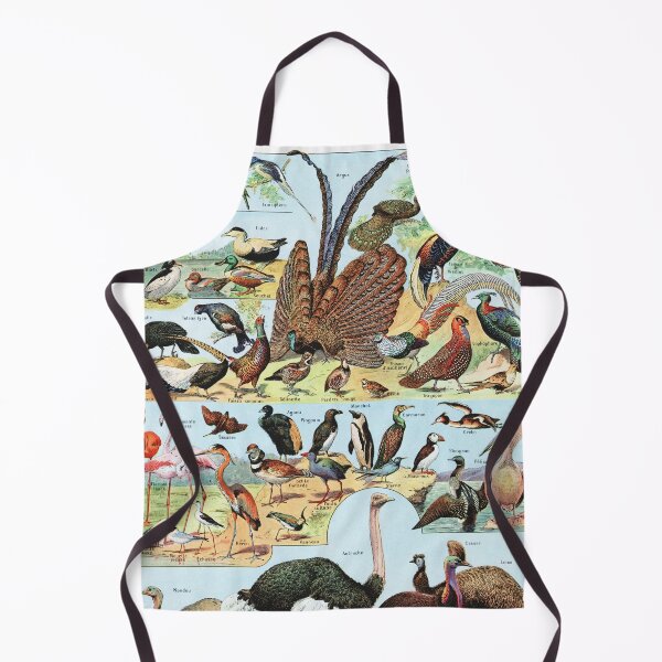 Item preview, Adolphe Millot - Oiseaux A - Vintage french zoology illustration 1921 designed and sold by Gardenlibrary.