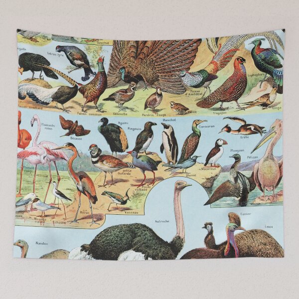 Item preview, Adolphe Millot - Oiseaux A - Vintage french zoology illustration 1921 designed and sold by Gardenlibrary.
