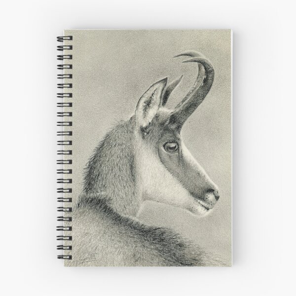 Item preview, Chamois drawing designed and sold by Bianca Cudalbu.