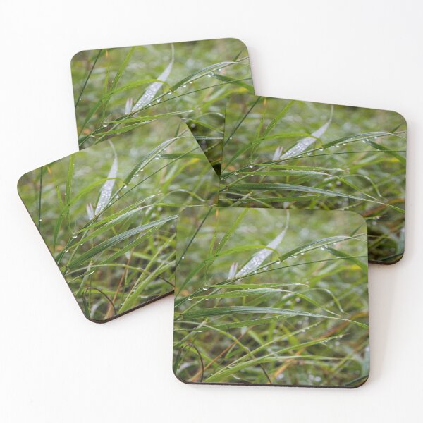 Item preview, After the rain designed and sold by CanadianWild418.