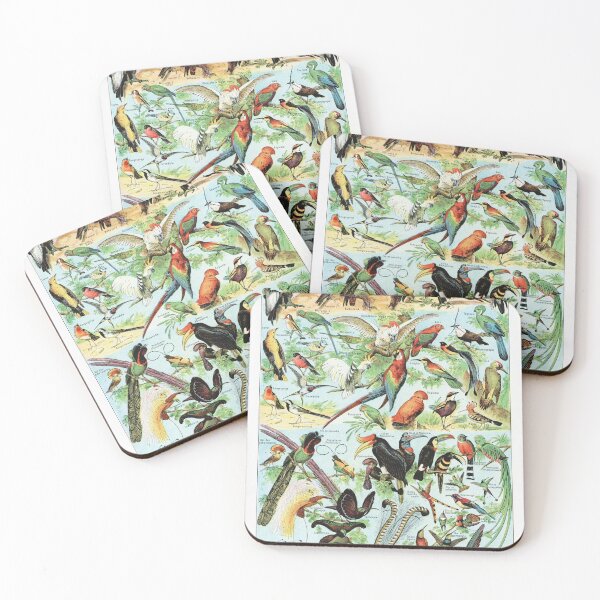 Item preview, Adolphe Millot - Oiseaux B - Vintage french zoology illustration 1921 designed and sold by Gardenlibrary.