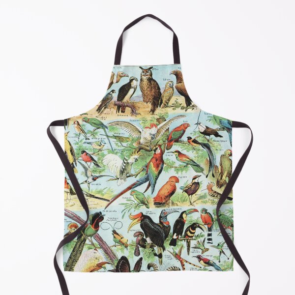 Item preview, Adolphe Millot - Oiseaux B - Vintage french zoology illustration 1921 designed and sold by Gardenlibrary.