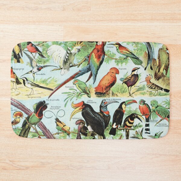 Item preview, Adolphe Millot - Oiseaux B - Vintage french zoology illustration 1921 designed and sold by Gardenlibrary.